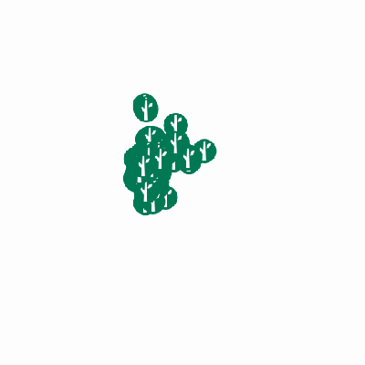 Export Image